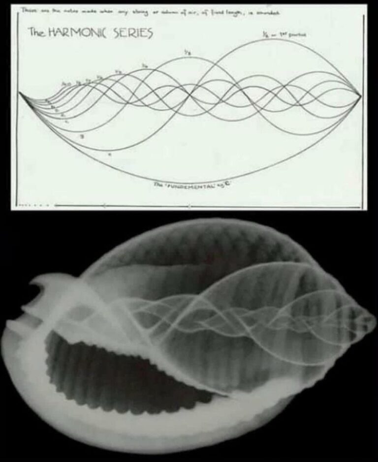 Instagram post from radicalartsacademy. This post is in position 4.